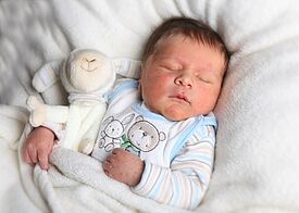 Julian Xaver Schubhart
